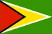 GUYANA Export Import Bill of Lading Data Platform with Importers and Exporters Business Trade Info - TradeInt