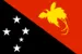 PAPUA NEW GUINEA Export Import Bill of Lading Data Platform with Importers and Exporters Business Trade Info - TradeInt