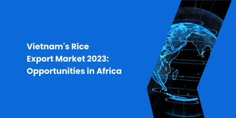 Vietnam's Rice Export Market 2023: Opportunities in Africa