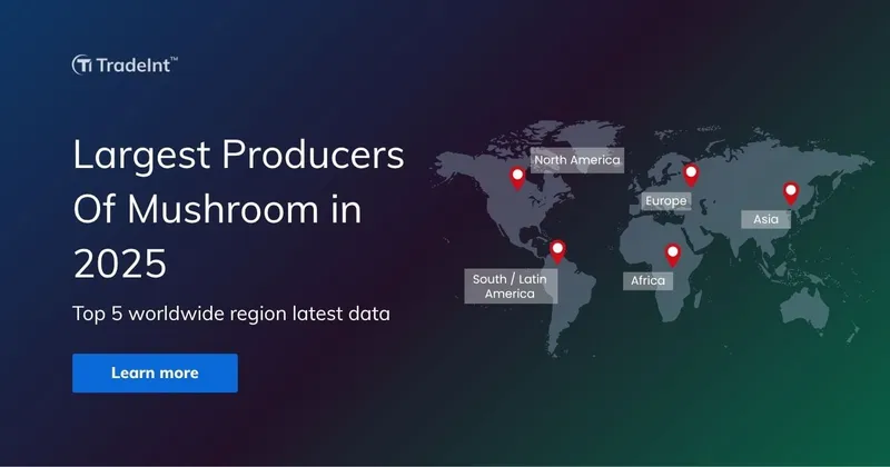 Top Largest Producers Of Mushroom Worldwide 2025