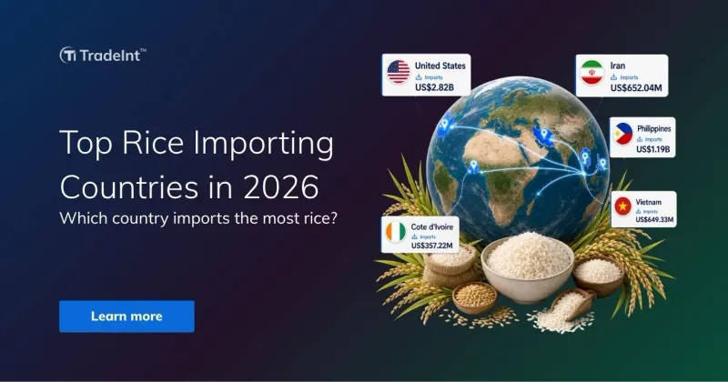 Top rice importing countries in 2026: Which country imports the most rice?