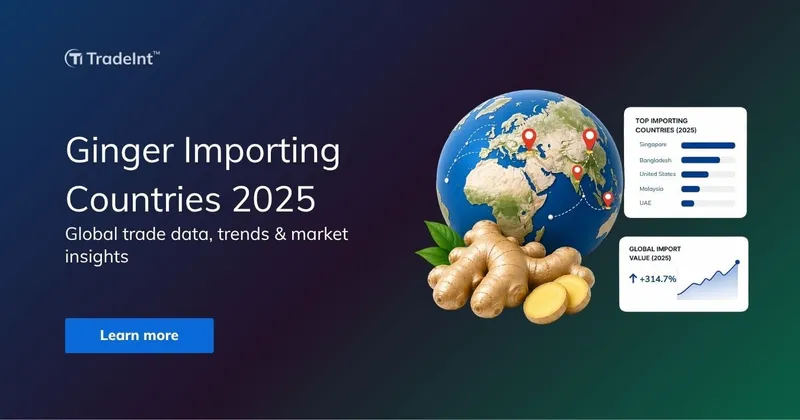 Ginger Importing Countries: Trends & Market Insights 2025