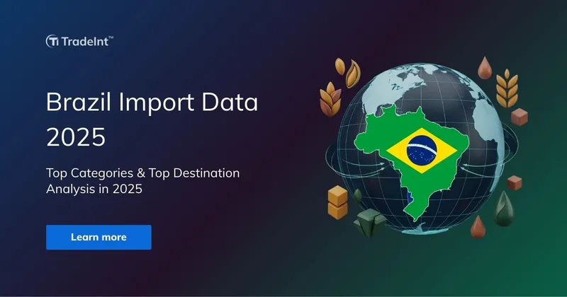 Brazil Import Data 2025 visual showing Brazil map with national flag over a globe, highlighting top import categories and destination analysis