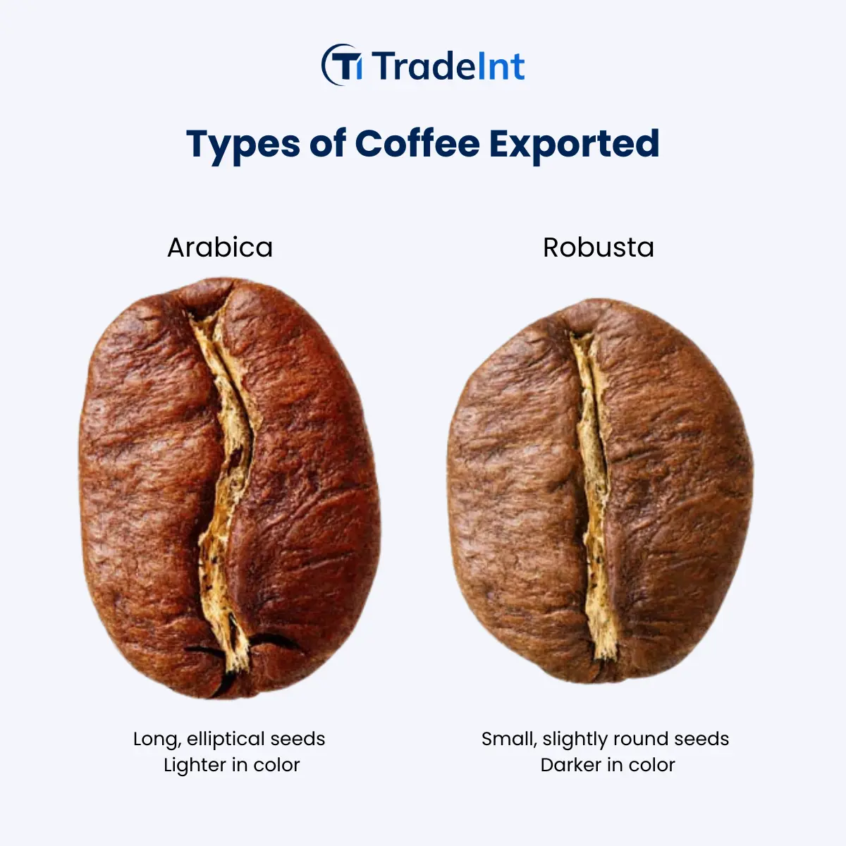 Vietnam Coffee Exports 2023: Most Promising Market? - figure 2