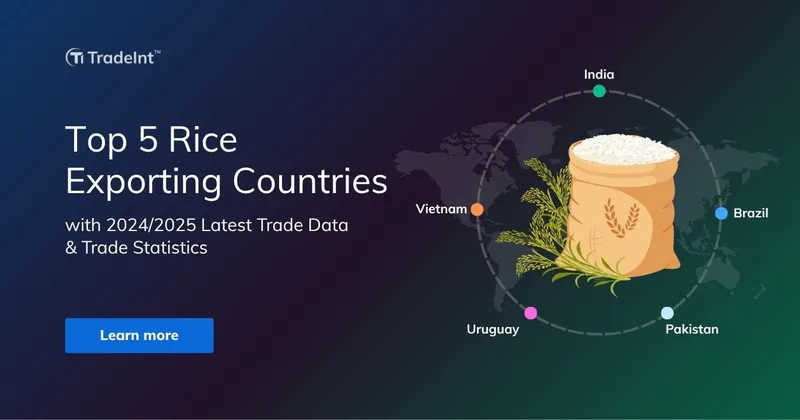 Top Rice Exporting Countries: Top 5 with Highest Value 2024-2025