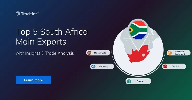 Top 5 South Africa Main Export: Insights & Trends Analysis