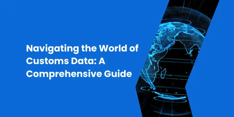 Navigating the World of Customs Data: A Comprehensive Guide