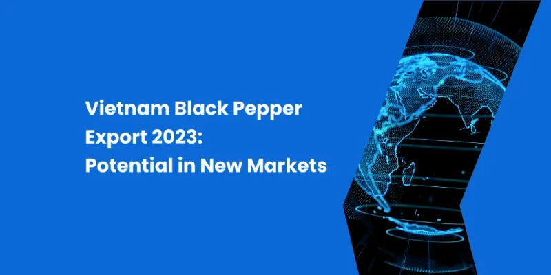 Vietnam Black Pepper Export 2023: Potential in New Markets
