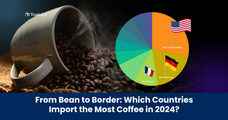 Top 10 Coffee Importing Countries In the World 2024