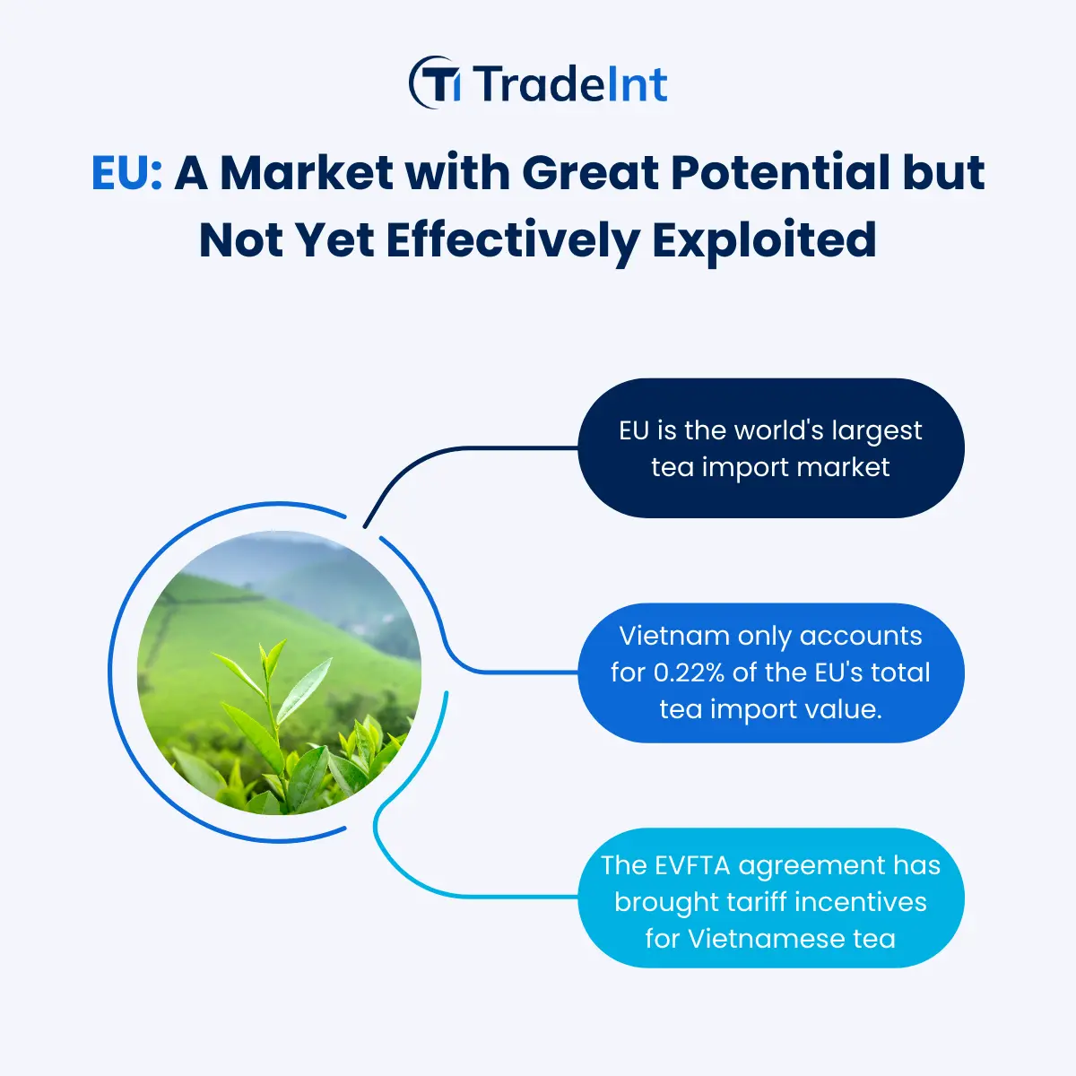 Vietnam Tea Exports 2023: Market Challenges - figure 3
