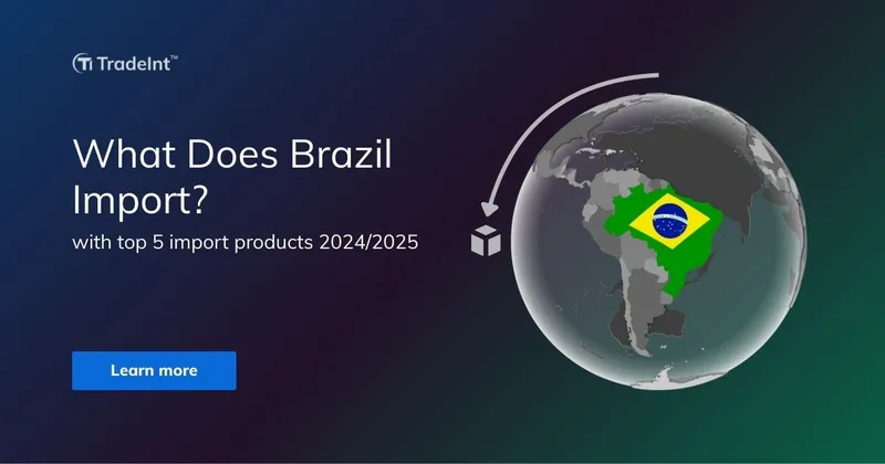 What Does Brazil Import? Top 5 with highest value 2024-2025