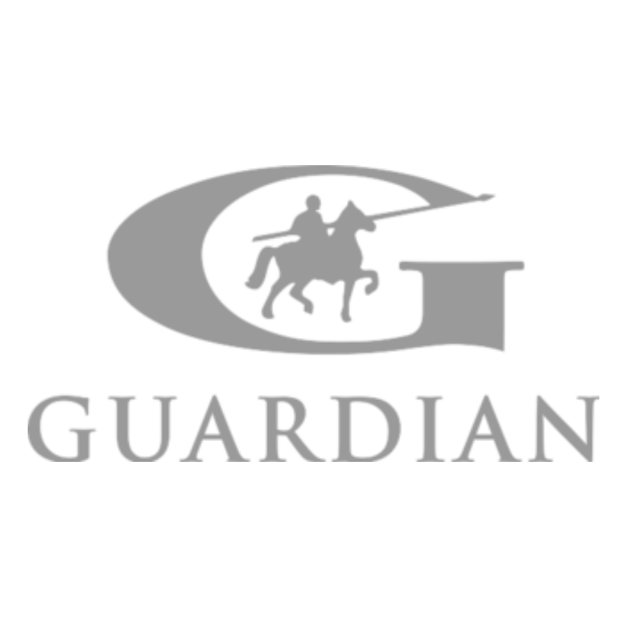 guardian industry company - tradeint partner -TradeInt Global Trade Intelligence Platform for the latest Turkey trade database, list of importers and exporters for any HS code, bill of lading and actionable market insights