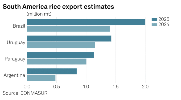 bar chart showing south america rice exports by market value from 2024 vs 2025