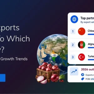 Hero banner for TradeInt: 'India Exports Onion To Which Country?' with a globe, onion basket, and a right-side panel listing top partners China, Afghanistan, and Turkey and a 2026 outlook.