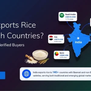 TradeInt banner showing India rice exports by country, with Saudi Arabia, UAE, Iran, Iraq and Benin as top partners.