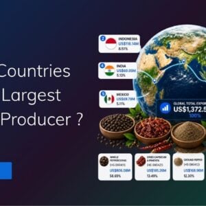 TradeInt banner showing the largest producer of pepper in the world, the top 5 countries being Vietnam, Indonesia, Peru, India, and Mexico, plus export values and pepper categories.