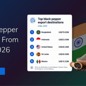 TradeInt banner showing black pepper export from India in 2026, with Bangladesh, Indonesia, US, Sri Lanka, and Mexico as top destinations.