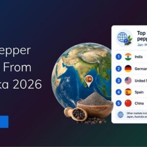 TradeInt banner showing black pepper exports from Sri Lanka in 2026, with India, Germany, US, Spain and China as top destinations.