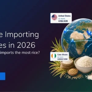 TradeInt banner showing top rice importing countries in 2026, with United States, Iran, Philippines, Vietnam and Côte d’Ivoire highlighted.