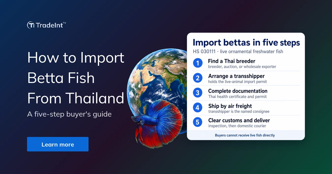TradeInt banner outlining how to import betta fish from Thailand in five steps using global trade data, customs data, and bill of lading on TradeInt trade data platform