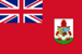 Bermuda Export Import Bill of Lading Data Platform with Importers and Exporters Business Trade Info - TradeInt