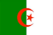 Algeria Export Import Bill of Lading Data Platform with Importers and Exporters Business Trade Info - TradeInt